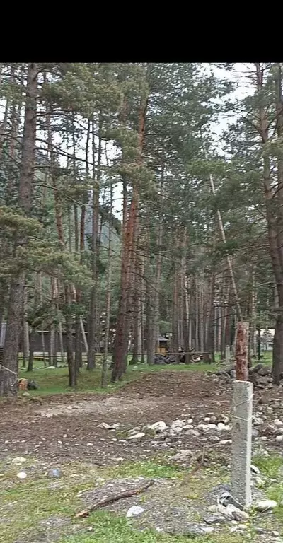 Участок 10 сот. (СНТ, ДНП) - Фото 0
