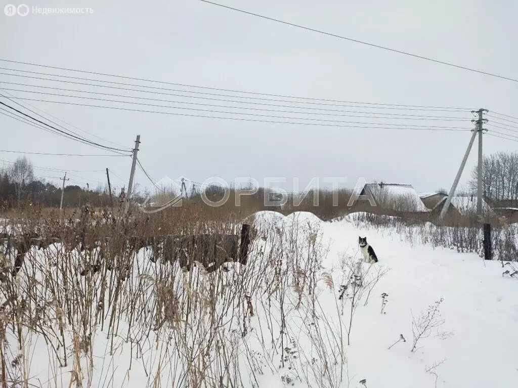 Участок в Тюмень, СНТ Тополя, 13-я улица (4.75 м) - Фото 1