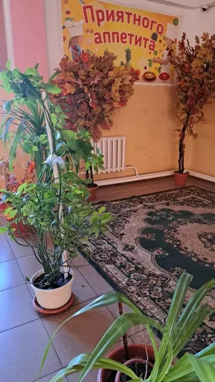 Помещение свободного назначения в Дагестан, Махачкала ул. Лаптиева, 55 ... - Фото 2