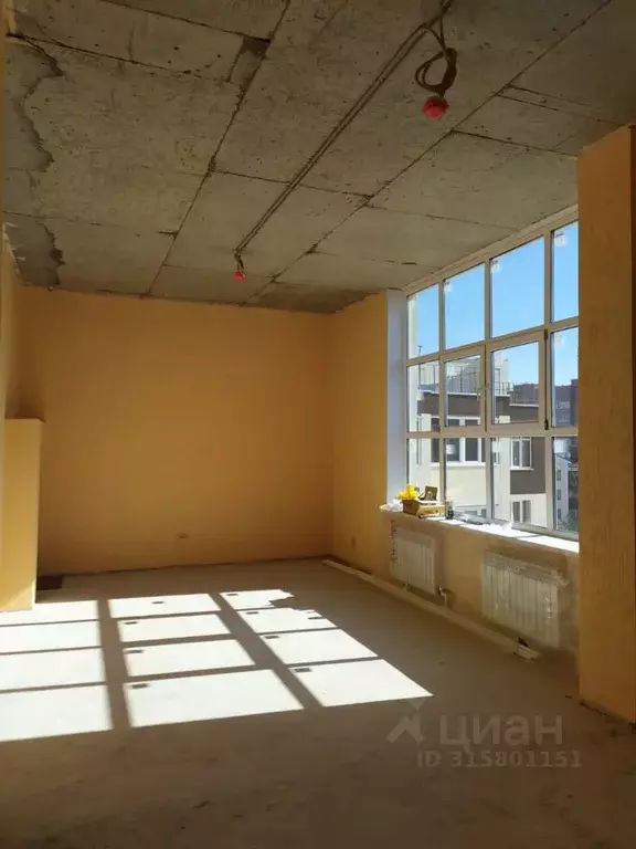 Офис в Владимирская область, Владимир ул. Мира, 24 (33 м) - Фото 1