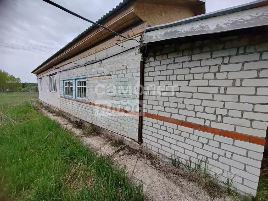 Дом в Липецкая область, Задонск Полевая ул., 12 (80 м) - Фото 1