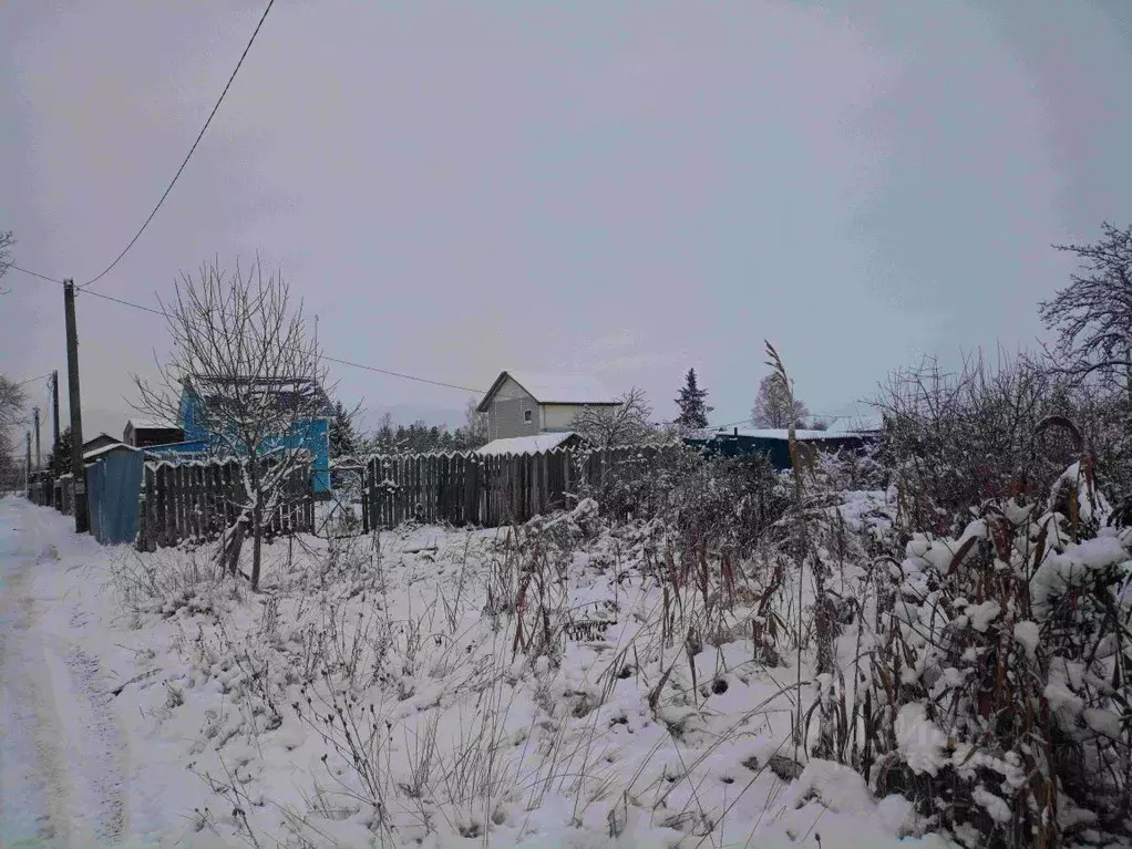 Участок в Новгородская область, Новгородский район, Панковское ... - Фото 1