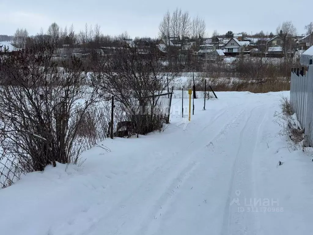 Участок в Алтайский край, Барнаул городской округ, Поселок Казенная ... - Фото 1