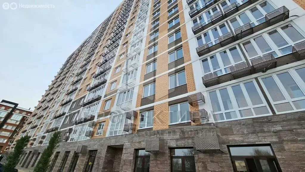 Помещение свободного назначения (47.3 м) - Фото 2