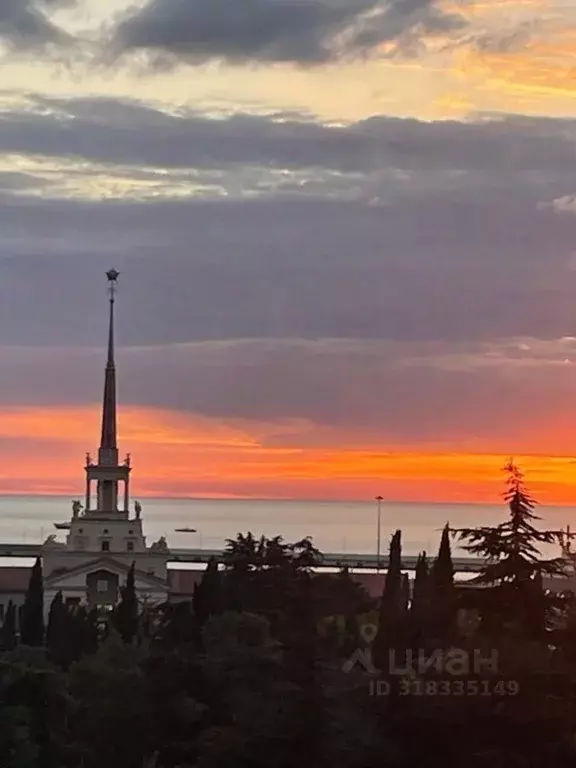 Студия Краснодарский край, Сочи Центральный мкр, ул. Войкова, 27 (30.0 ... - Фото 1