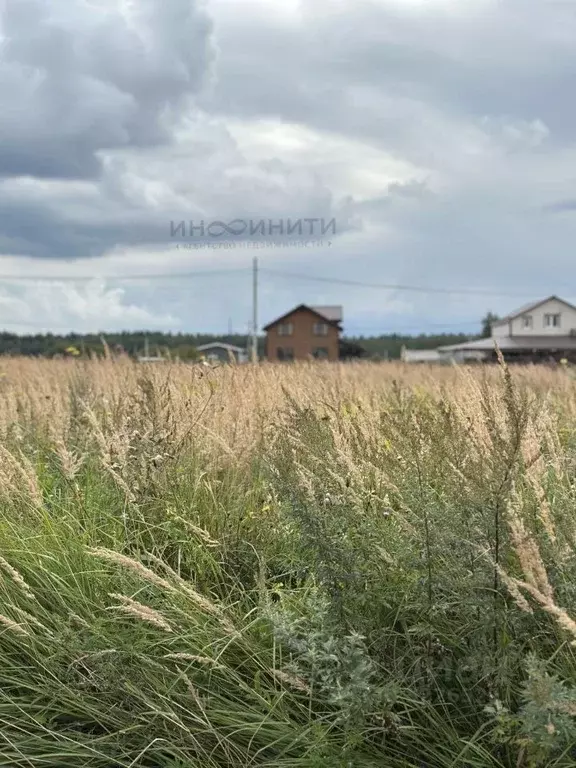 Участок в Московская область, Раменский муниципальный округ, Усадьба ... - Фото 1