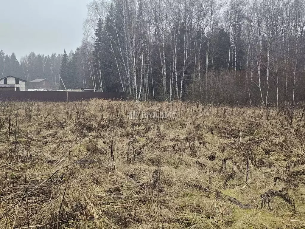 Участок в Московская область, Дмитровский муниципальный округ, ... - Фото 1