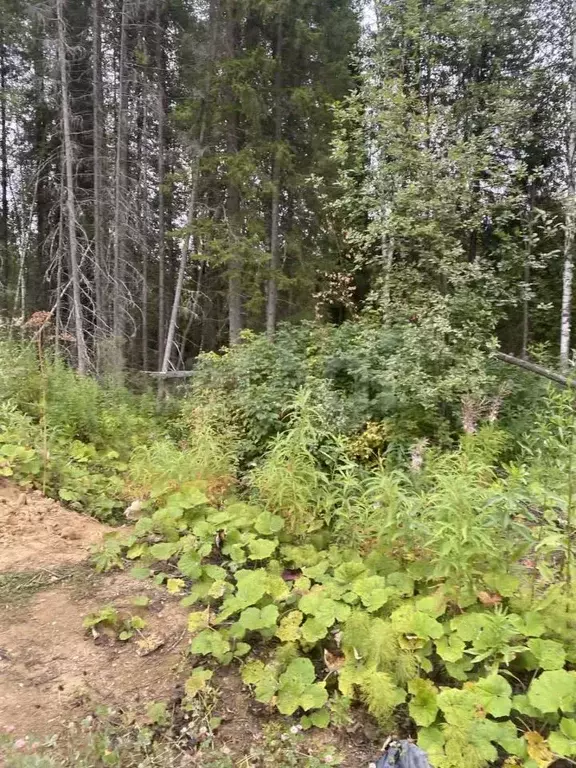 Участок в Коми, Ухта пос. УРМЗ,  (13.06 сот.) - Фото 1