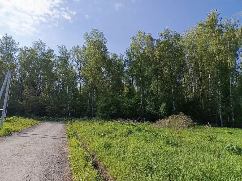 Участок в Московская область, Домодедово городской округ, д. Минаево, ... - Фото 0