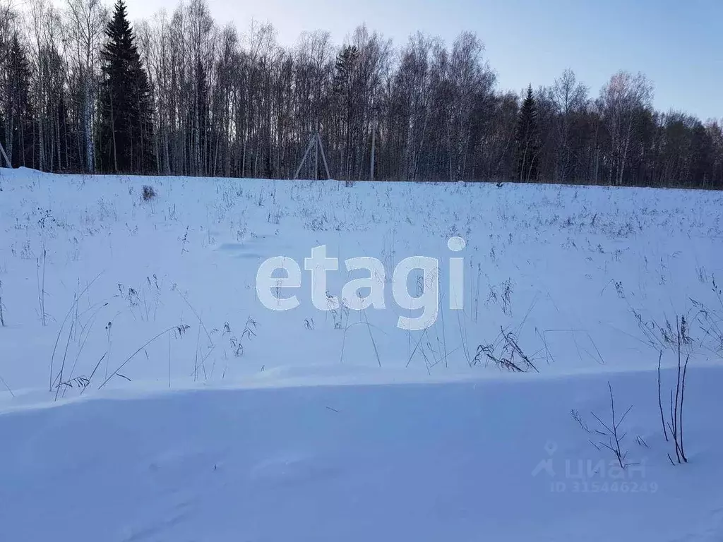 Участок в Свердловская область, Горноуральский муниципальный округ, с. ... - Фото 1