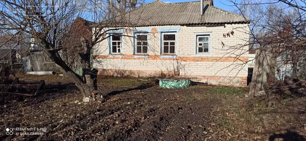 Мир александровка. Хутор Александровский Шебекинский район. Х Александровский Шебекинского района. Ютановка фото.