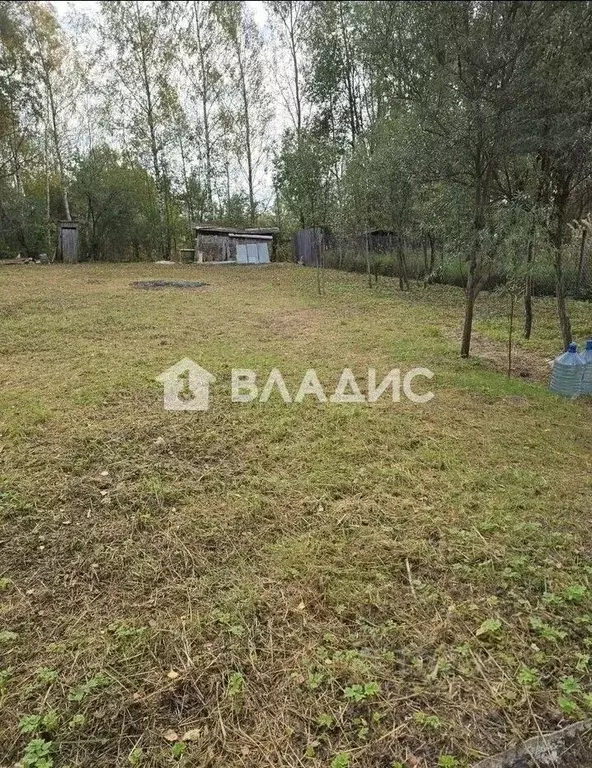 Дом в Владимирская область, Петушинский муниципальный округ, ... - Фото 2