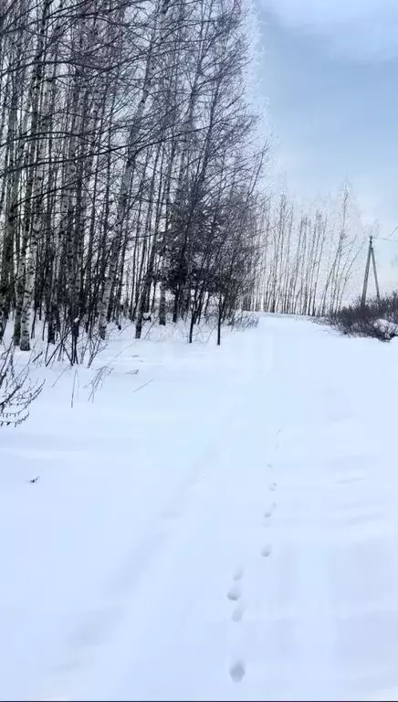 Участок в Нижегородская область, Сокольский муниципальный округ, д. ... - Фото 2