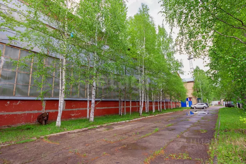 Помещение свободного назначения в Коми, Ухта Строительная ул., 13с10 ... - Фото 1
