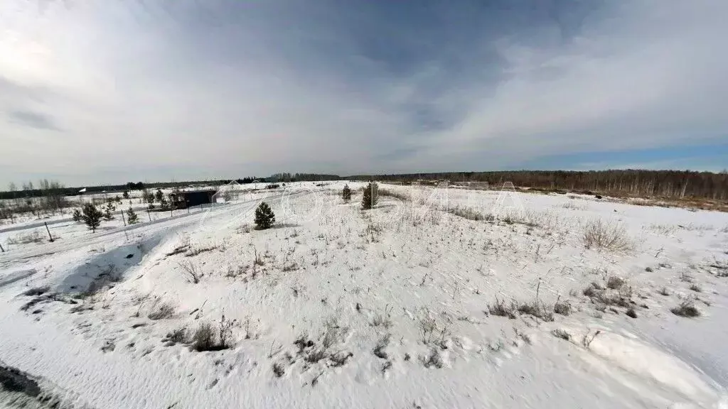 Участок в Тюменская область, Нижнетавдинский муниципальный округ, ... - Фото 1