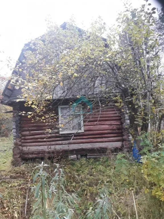 Участок в Ленинградская область, Волховский район, Кисельнинское ... - Фото 2