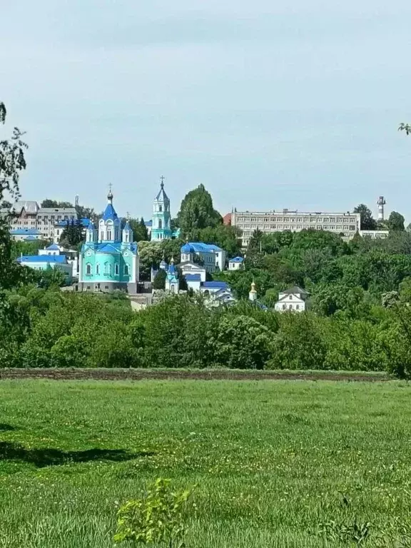 Участок в Курская область, Золотухинский район, Будановский сельсовет, ... - Фото 1