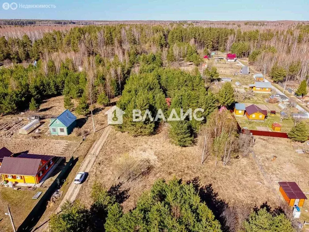 Участок в Суздальский район, муниципальное образование Селецкое, СНТ ... - Фото 0