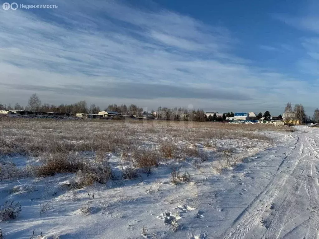 Участок в Курган, посёлок Левашово, Угловая улица (10 м) - Фото 2