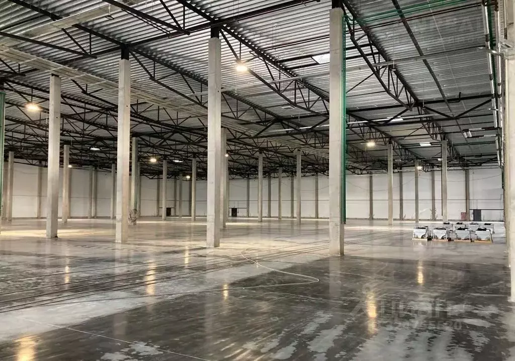 Склад в Санкт-Петербург пос. Шушары, Московское ш., 155 (3780 м) - Фото 1