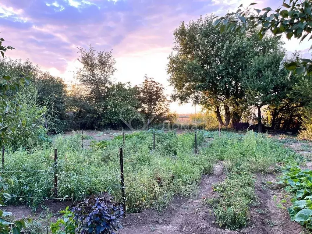 Дом в Волгоградская область, Калачевский район, Советское с/пос, пос. ... - Фото 2