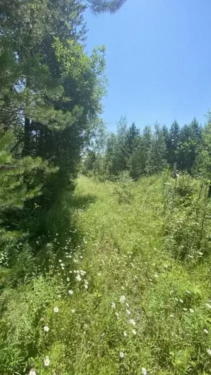 Участок в Иркутская область, Иркутск  (10.0 сот.) - Фото 1