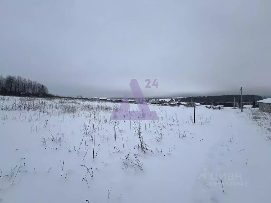 Участок в Пермский край, Пермский муниципальный округ, Придорожный ... - Фото 2