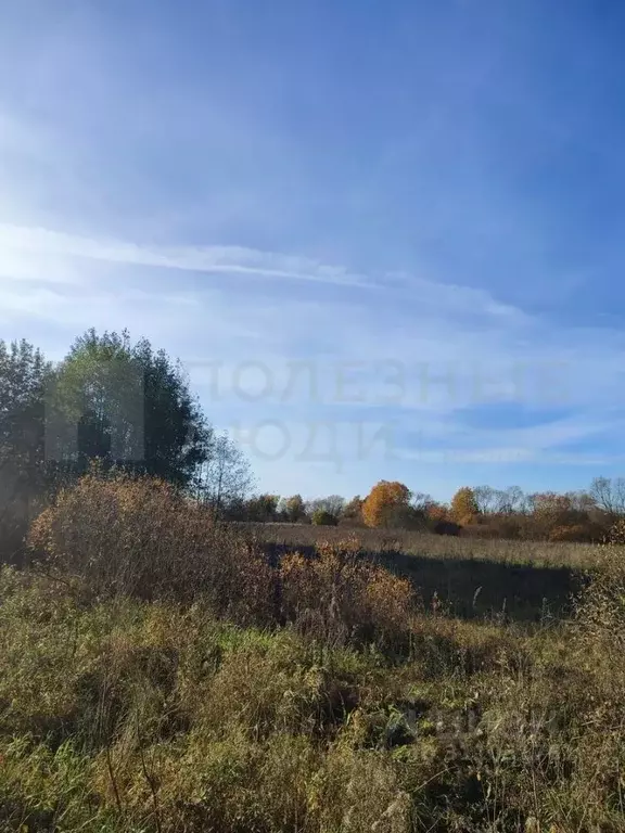 Участок в Новгородская область, Новгородский район, Бронницкое с/пос, ... - Фото 1