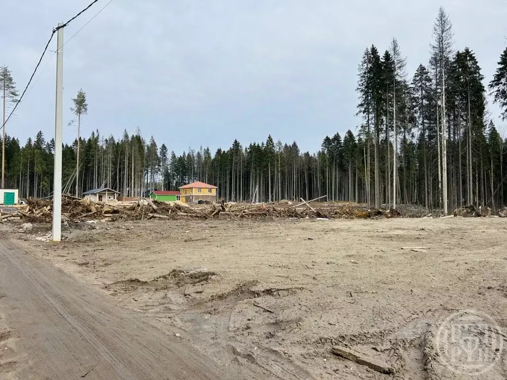 Участок в Ленинградская область, Сертолово Всеволожский район, Медное ... - Фото 2
