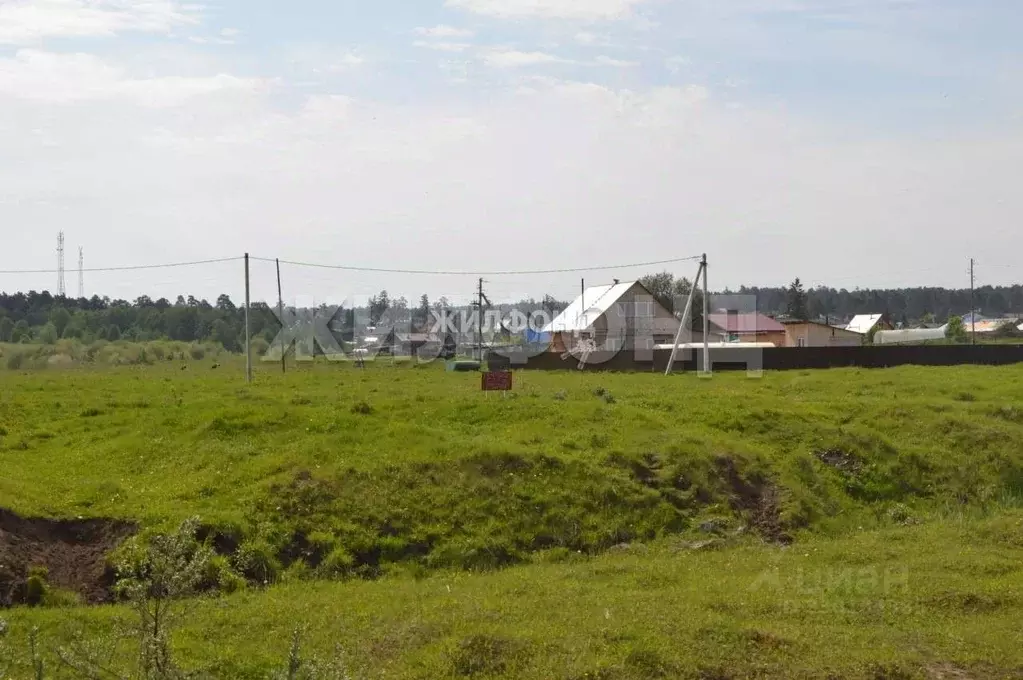 Участок в Новосибирская область, Мошковский район, с. Белоярка ул. ... - Фото 1