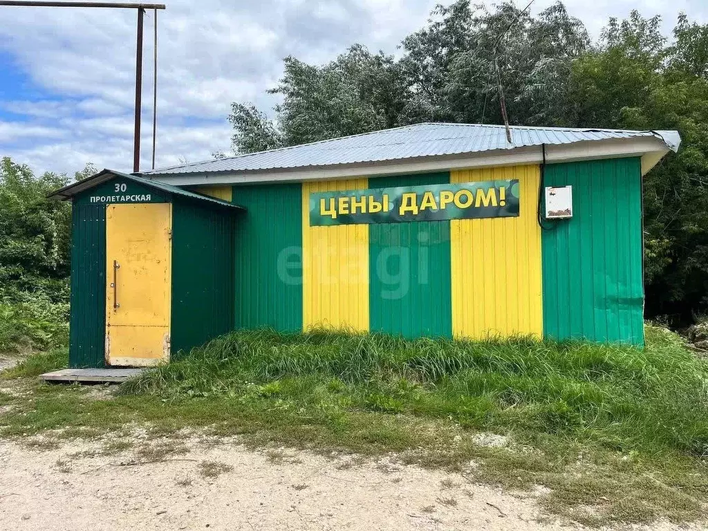 Торговая площадь в Владимирская область, Муром с. Панфилово, ул. ... - Фото 0