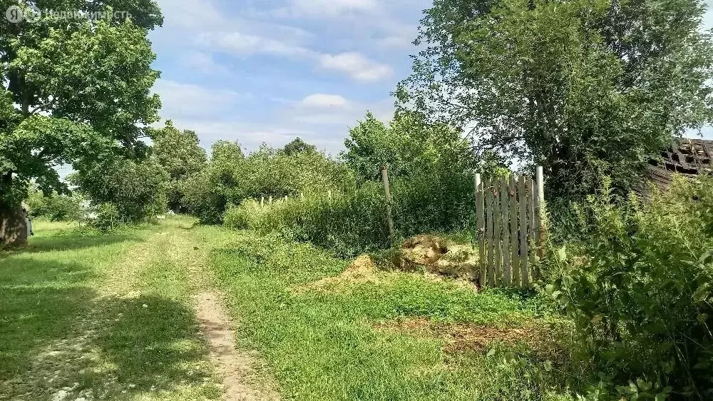 Участок в Нижегородская область, Богородский муниципальный округ, ... - Фото 2