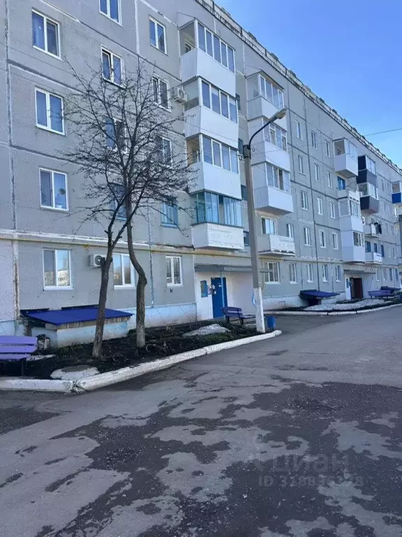 1-к кв. Башкортостан, Белебей ул. Революционеров, 34 (34.0 м) - Фото 0