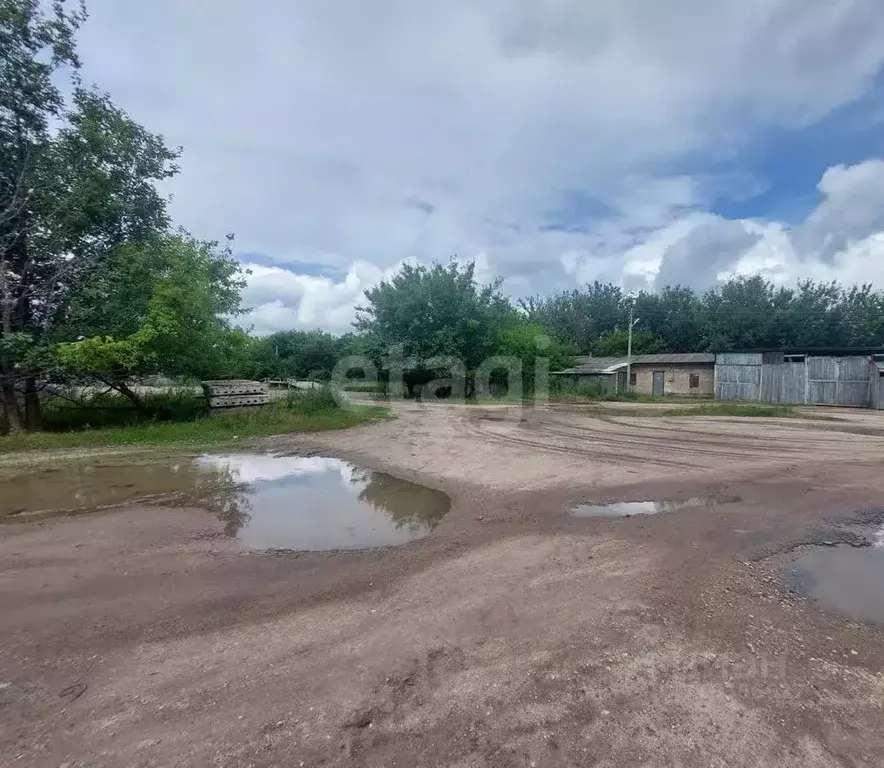 Участок в Воронежская область, Рамонь рп  (35.0 сот.) - Фото 0