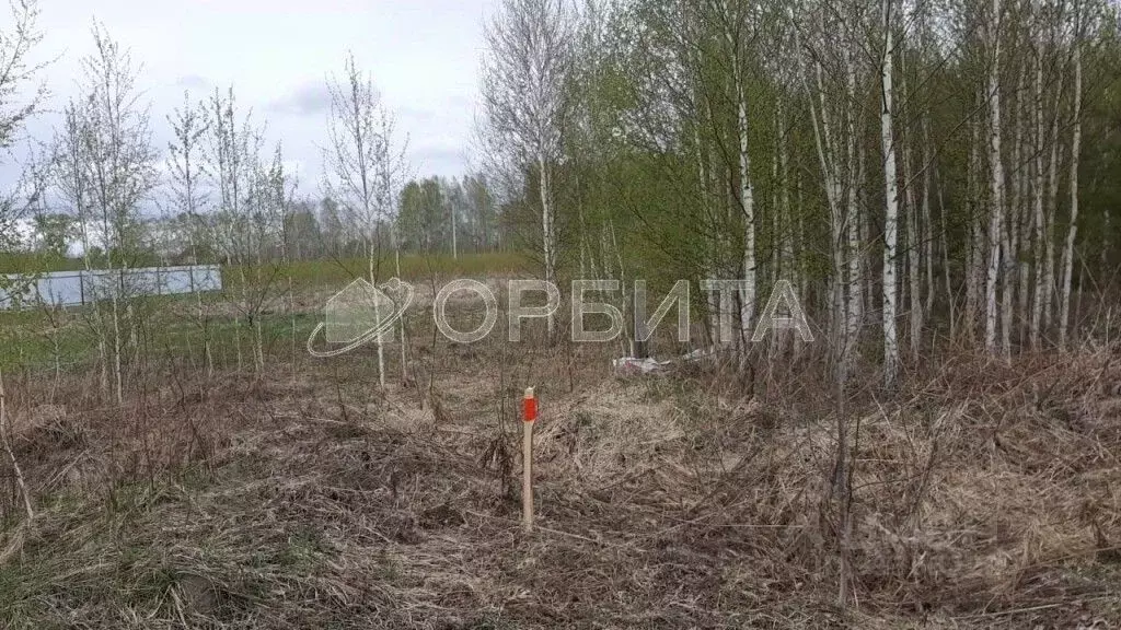 Участок в Тюменская область, Нижнетавдинский район, с. Иска ул. ... - Фото 0