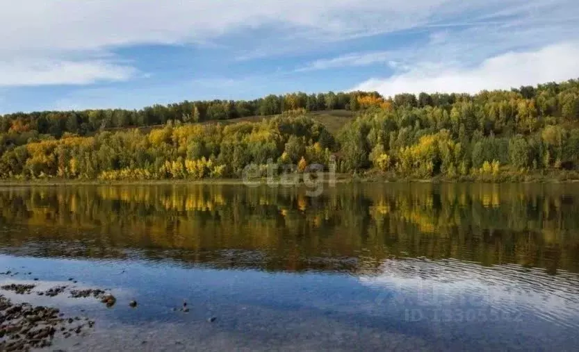 Участок в Кемеровская область, Крапивинский район, д. Шевели ... - Фото 0