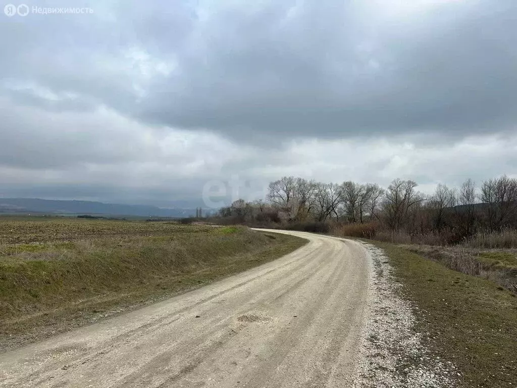 Участок в Симферопольский район, Трудовское сельское поселение, село ... - Фото 2