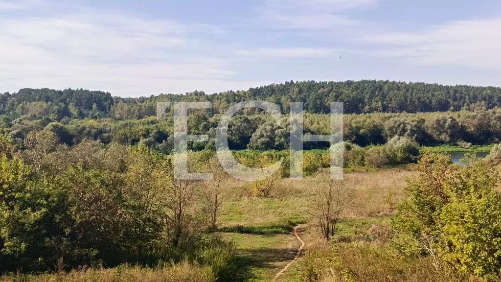 Участок в Тульская область, Алексин городской округ, с. Бунырево  ... - Фото 2