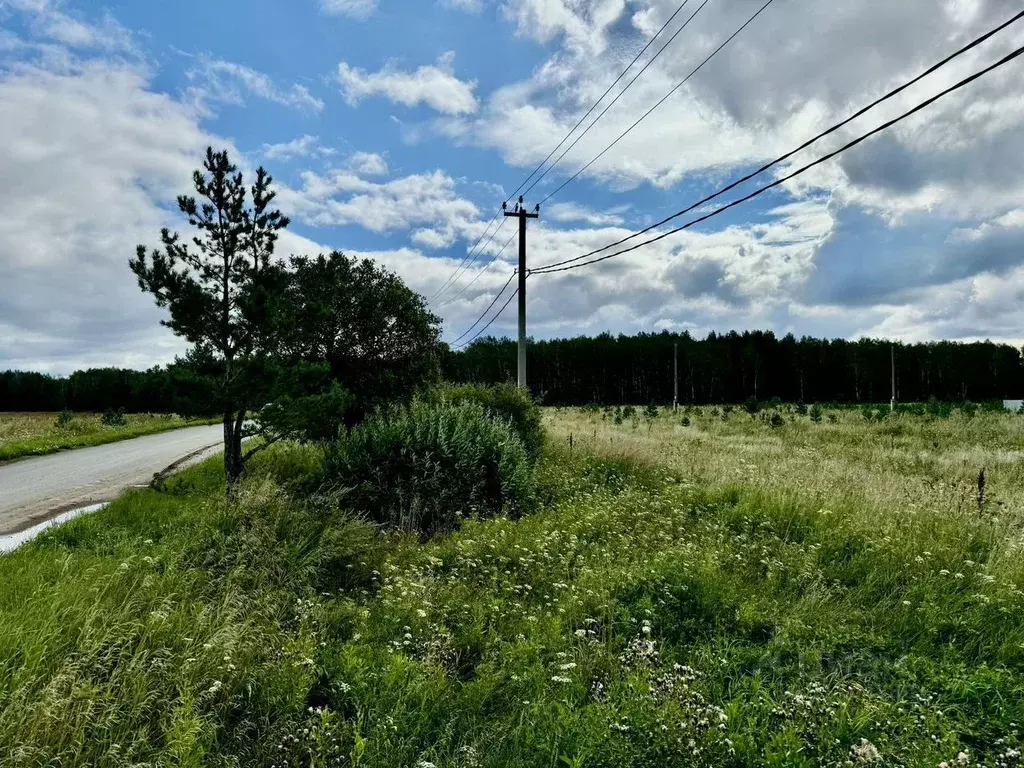 Участок в Свердловская область, Белоярский городской округ, д. Ключи  ... - Фото 0