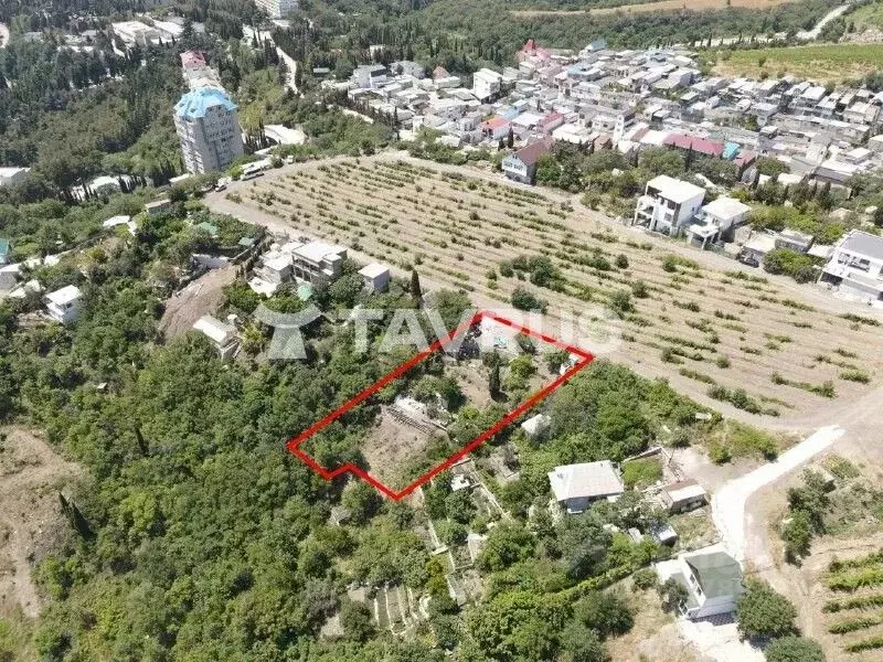 Участок в Крым, Алушта муниципальный округ, Партенит пгт ул. ... - Фото 2