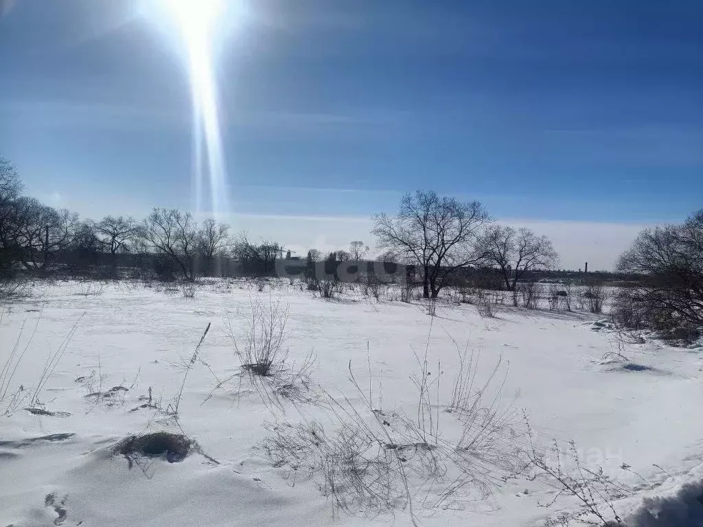 Участок в Амурская область, Благовещенск городской округ, с. Садовое ... - Фото 0