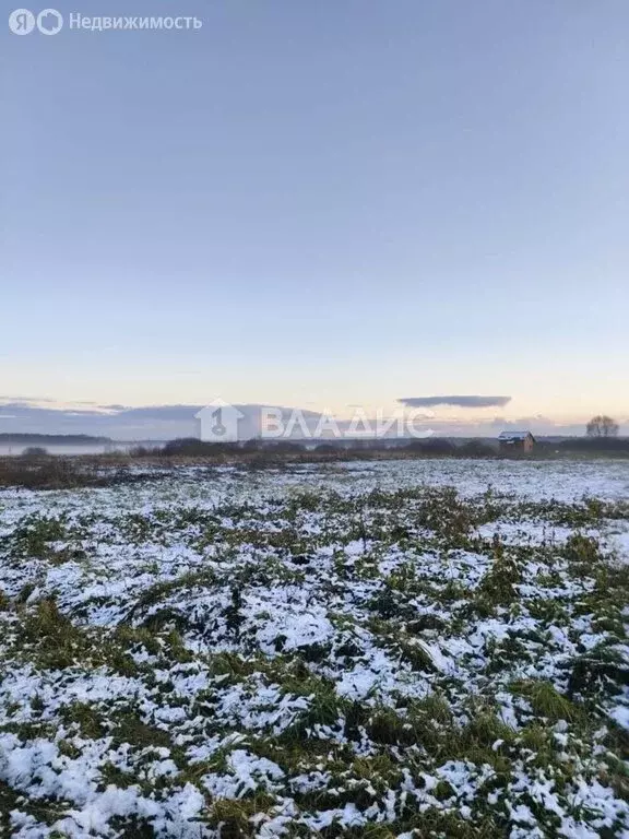 Участок в Владимирская область, Собинский муниципальный округ, ... - Фото 1