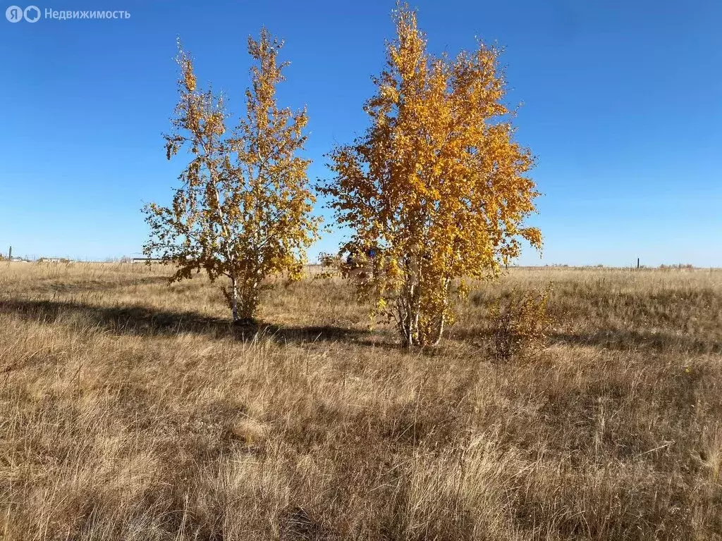 Участок в Республика Саха (Якутия), городской округ Якутск, село ... - Фото 0