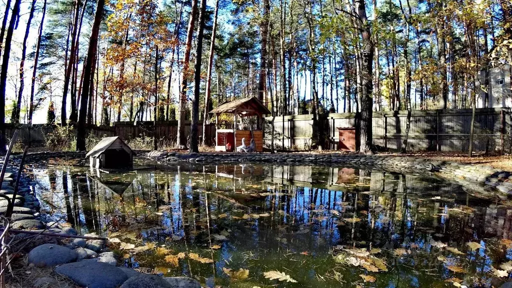 Дом в Московская область, Раменский муниципальный округ, д. Вялки ул. ... - Фото 2