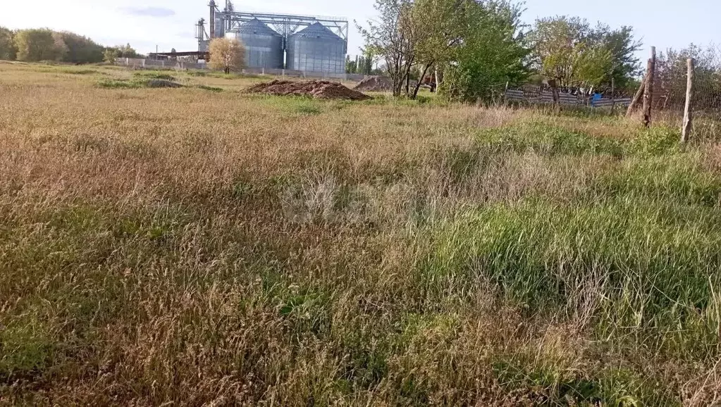 Участок в Саратовская область, Энгельсский район, Новопушкинское ... - Фото 1