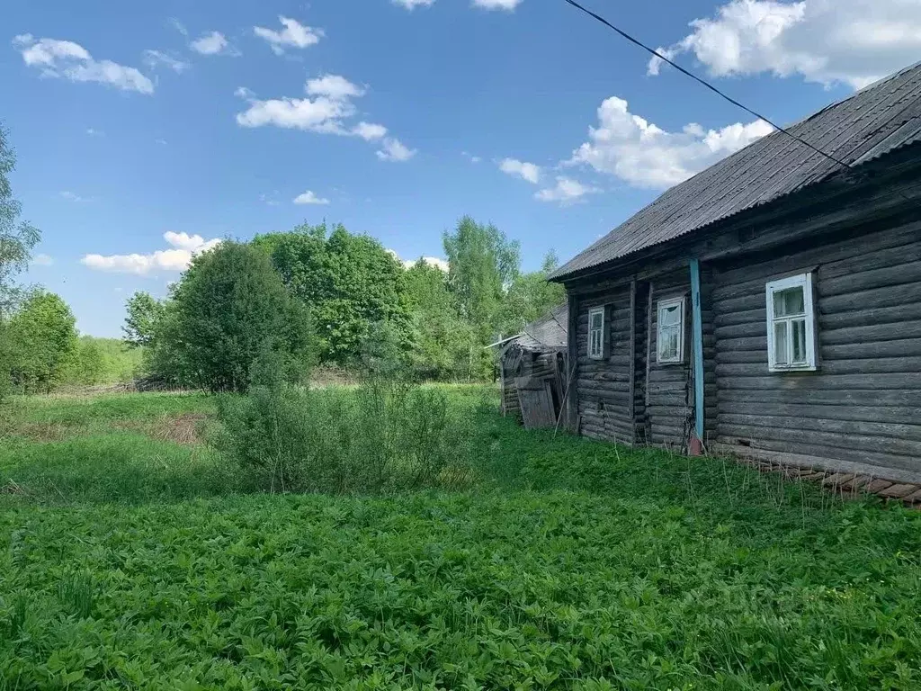 Участок в Ярославская область, Борисоглебский муниципальный округ, д. ... - Фото 1