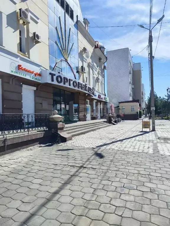 Торговая площадь в Амурская область, Благовещенск Красноармейская ул., ... - Фото 1