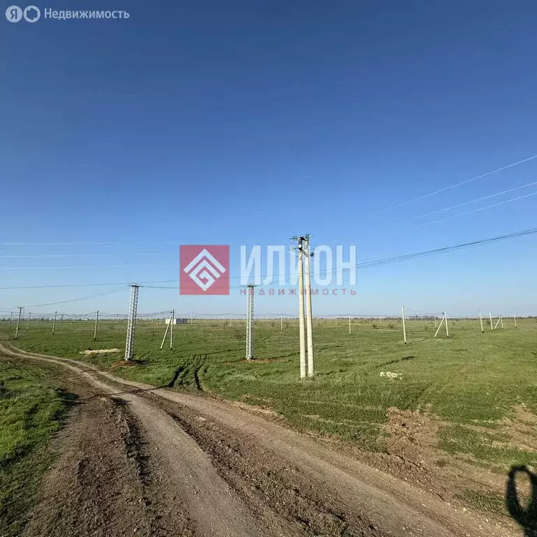 Участок в Николаевка, Лесная улица, 49 (6 м) - Фото 2