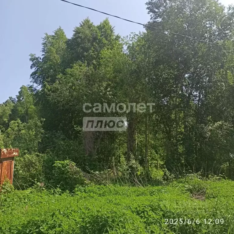 Участок в Тюменская область, Нижнетавдинский район, Ромашка СНТ ул. ... - Фото 0