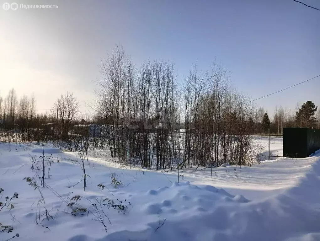 Участок в Тюменский район, СНТ Маяк, Вишнёвая улица (9.67 м) - Фото 1